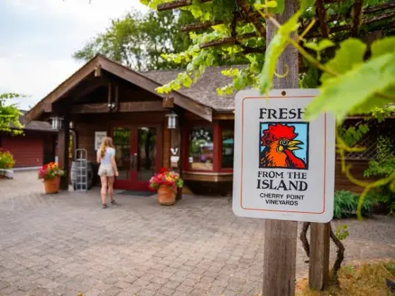 Cherry Point Vineyards wine shop, Cobble Hill BC