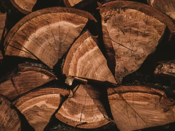 Dark stack of split firewood rounds, Cowichan Valley BC