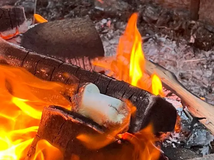Split firewood burning in an outdoor fire pit, Victoria BC