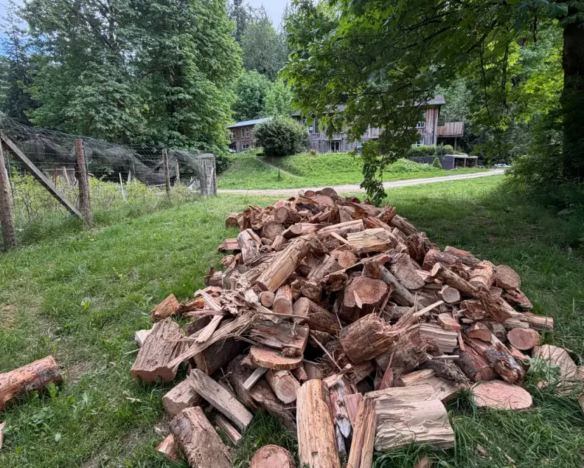 Firewood in Cowichan Bay BC: a pile of split firewood and rounds on the grass beside a path