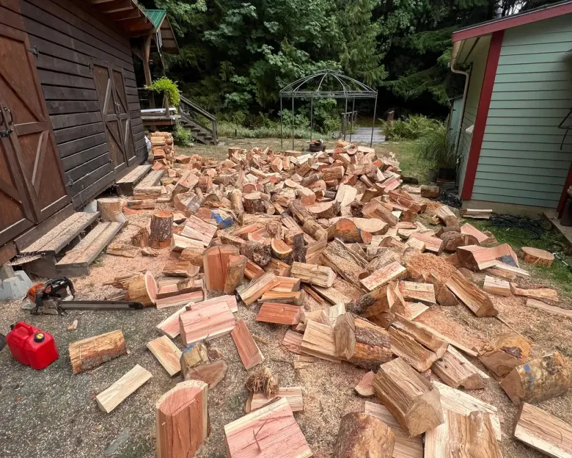 Firewood in Ladysmith BC: freshly cut and split pieces spread across a yard beside a barn