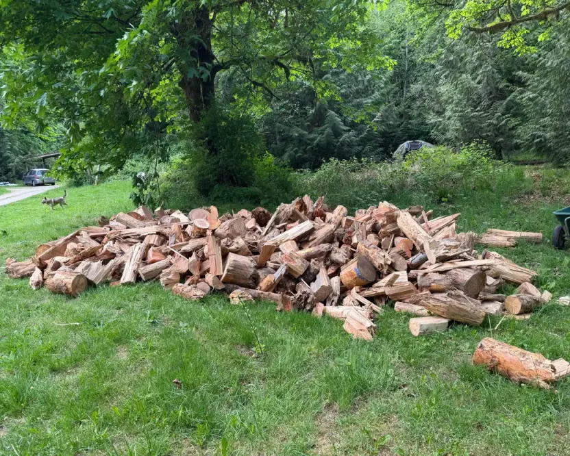 Firewood in Maple Bay BC: a load of split firewood spread on a green lawn
