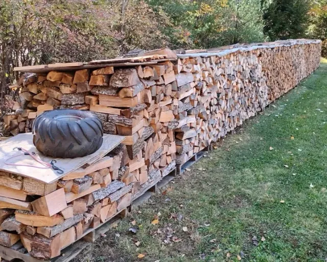 Firewood in Metchosin BC: long rows of seasoned split firewood stacked on pallets