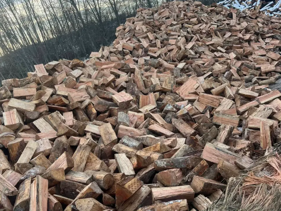 Large heap of split firewood with bare trees behind it, Duncan BC