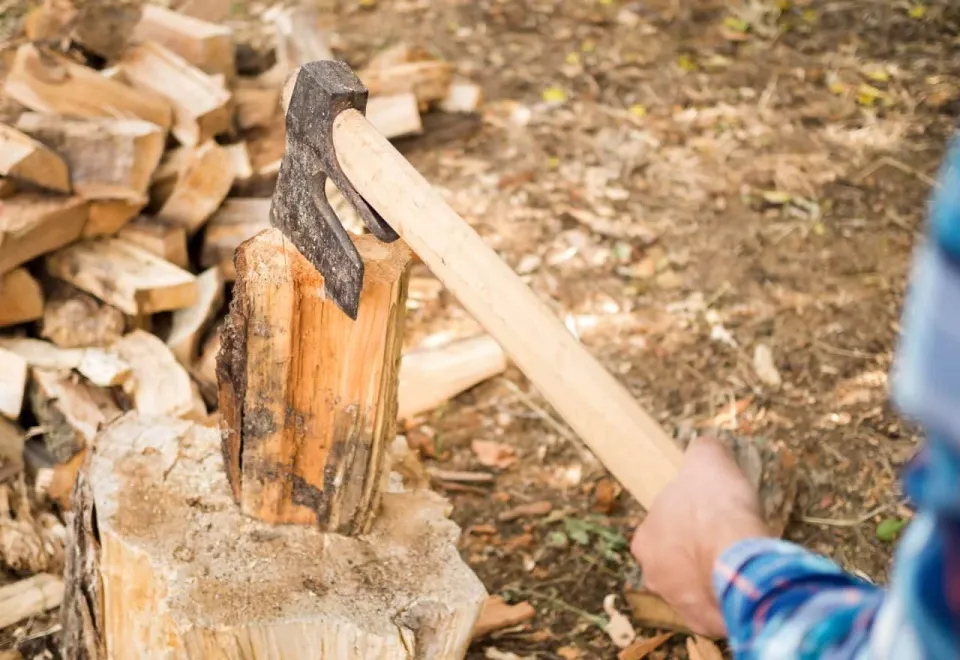 Axe splitting a firewood round on a chopping block, Cowichan Valley BC