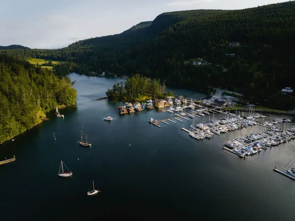 Aerial view of the marina and forested hills, Maple Bay BC