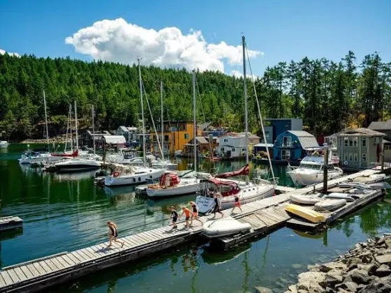 Sailboats at the marina docks, Maple Bay BC
