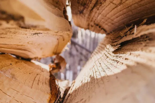Close-up of the split ends of firewood pieces, Cowichan Valley BC