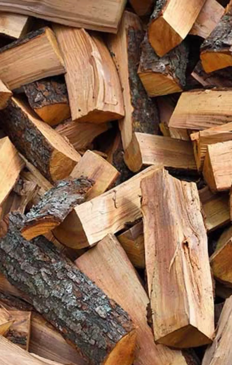Close-up of split firewood pieces, some with bark on, Langford BC