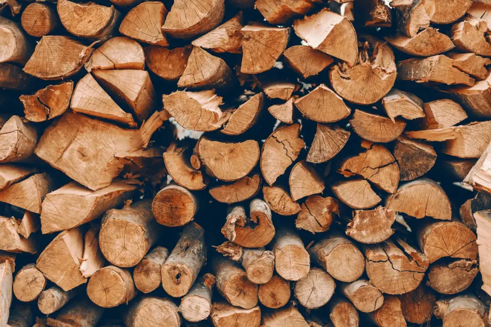 Stacked firewood rounds and split pieces, Langford BC