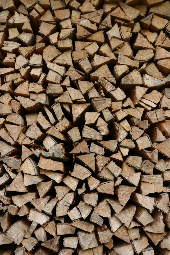 Stacked face of split firewood, Cowichan Valley BC